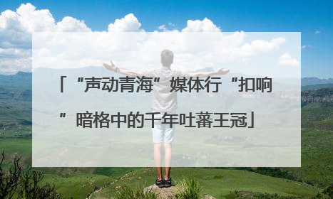 “声动青海”媒体行“扣响”暗格中的千年吐蕃王冠